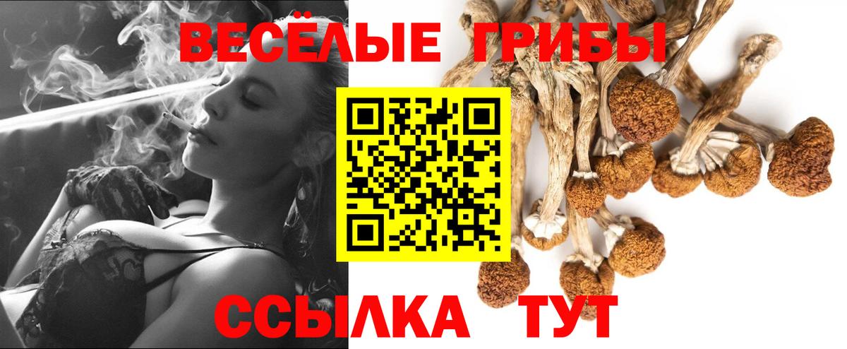 Галлюциногенные грибы прущие грибы  Вход с VPN  Кунгур  Псилоцибиновые грибы Magic Shrooms 